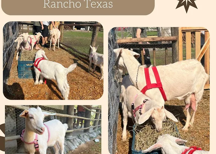 Pousada E Pesqueiro Rancho Texas UbatubaPousada